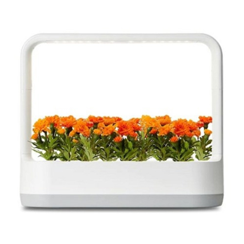 LG전자 틔운 미니 L011