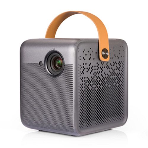 포무비  다이스 M055FGN