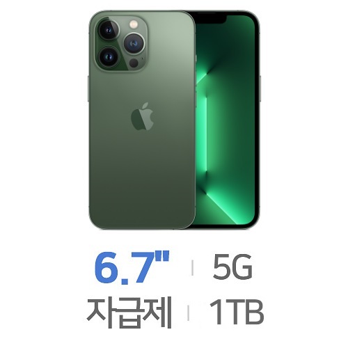 Apple  아이폰13 프로 맥스 1TB, 자급제