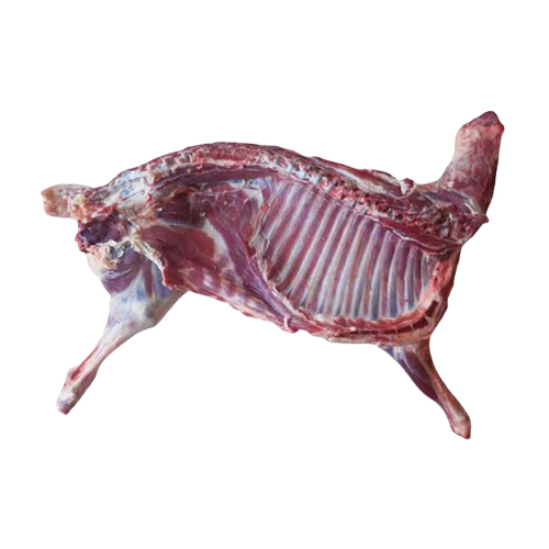 신돈축산유통  배터짐 13개월 양 반마리 8kg내외 염소 양고기모음 8kg