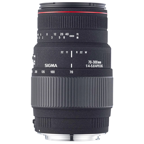 Sigma  APO 70-300mm F4-5.6 DG MACRO 캐논 EF용