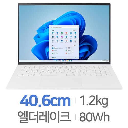 LG전자 2022 그램16(12세대) 16Z90Q-GA56K
