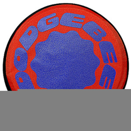 뉴스포츠산업  돗지비 디스크 235