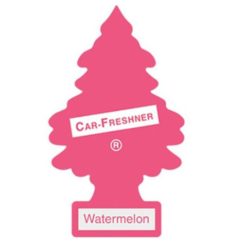 Car-Freshner  걸이형 방향제 리틀트리