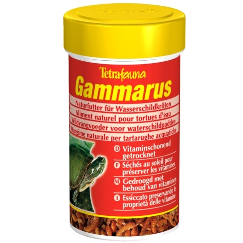 테트라  감마루스