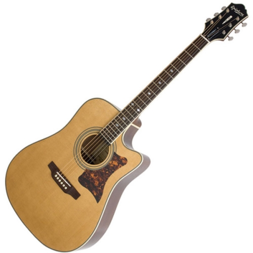 에피폰  DR-500MCE