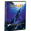 다우리  (DVD타이틀) IMAX : 고래