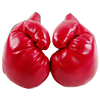 프로킥  유소년 여성용 권투글러브(4온스)
